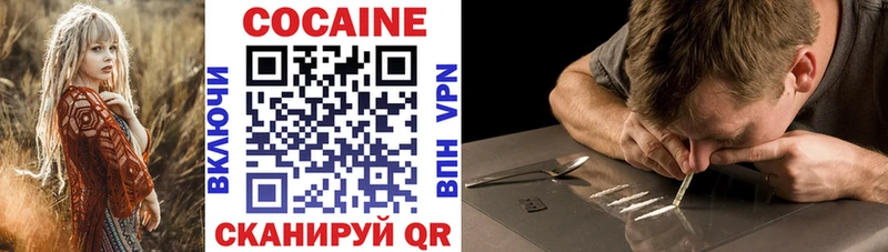 Cocaine Эквадор  omg онион  Железногорск-Илимский  сколько стоит 