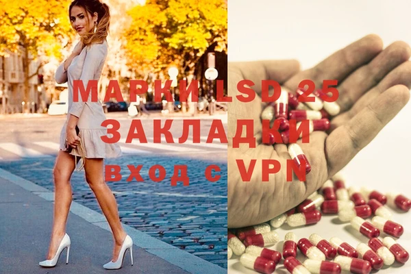 винт Балахна