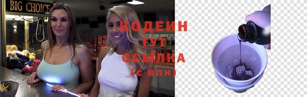 мдпв Протвино